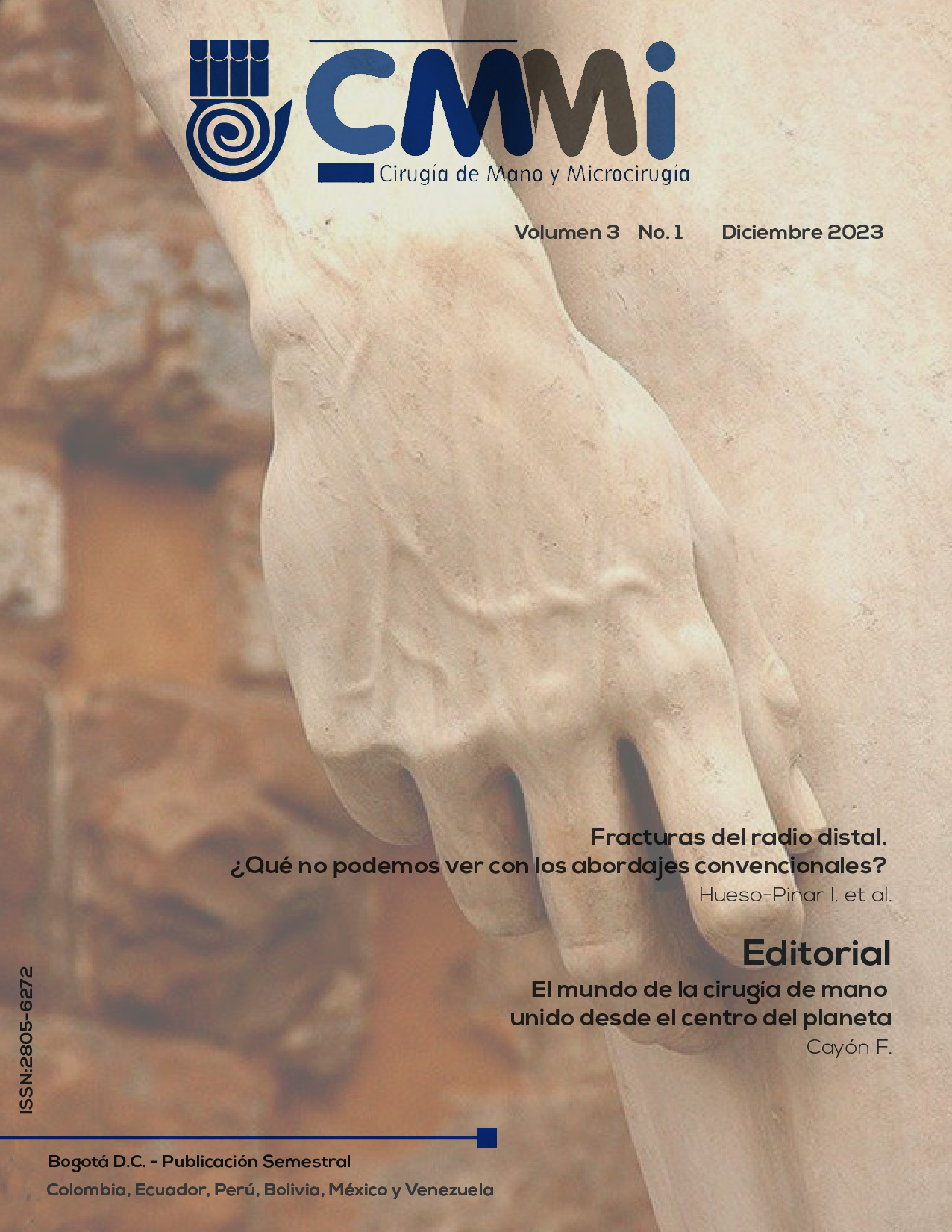 					Ver Vol. 3 Núm. 1 (2023): Fracturas del radio distal ¿Qué no podemos ver con los abordajes convencionales?
				